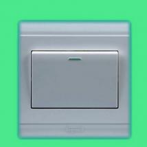 TCL一羅格朗 美馭系列 暗裝單聯雙控開關