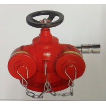 侖消 地上多用消防水泵接合器