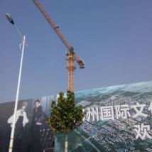 徐工 徐工6012塔式起重機(jī)2年機(jī)器