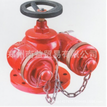 SQD150-1.6 地上式多用式消防水泵接合器